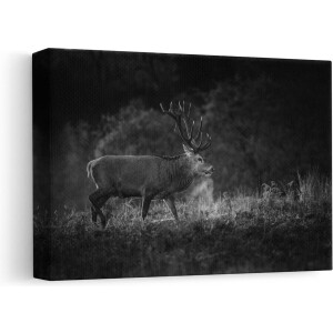 Artaza Canvas Schilderij Hert in het Gras met Mist - Zwart Wit - 30x20 - Klein - Foto Op Canvas - Canvas Print