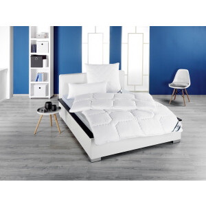 Frankenstolz - All year dekbed enkel - Microvezel - 95°C wasbaar - 260x220