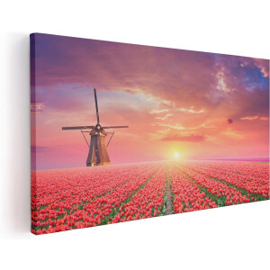 Artaza Canvas Schilderij Rode Rozen Bloemenveld Met Een Windmolen - 120x60 - Groot - Foto Op Canvas - Canvas Print