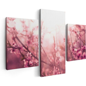 Artaza Canvas Schilderij Drieluik Roze Bloesemboom Met Zonneschijn - 90x60 - Foto Op Canvas - Canvas Print