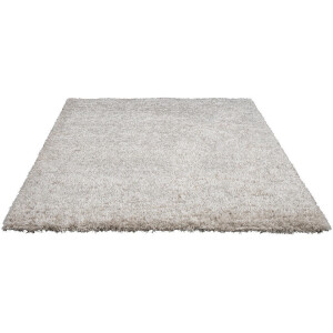 Leen Bakker - Vloerkleed Rengali - 160x230 Cm - Gerecycled Kunststof - Taupe