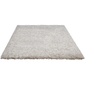 Leen Bakker - Vloerkleed Rengali - 200x290 Cm - Gerecycled Kunststof - Taupe