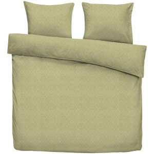 Leen Bakker - Dekbedovertrek Amir - 240x220 Cm - Polyester - Groen