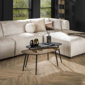 LifestyleFurn Organische Salontafel 'Marylouise' Metaal, Set van 2 stuks, kleur goud/zwart