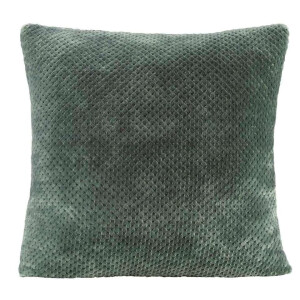 2e Halve Prijs Leen Bakker - Woonkussen Ilona - 60x60 Cm - Polyester - Groen