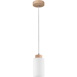 SPOT Light Hanglamp BOSCO WOOD Hanglamp, natuurproduct van eikenhout, duurzaam, kap van glas