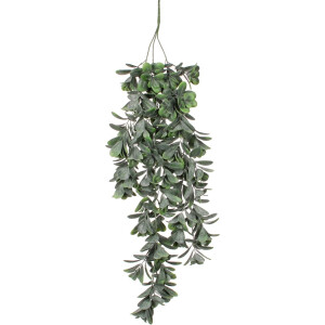 MICA DECORATIONS - Kunstplant Crassula L 79 cm - Groen