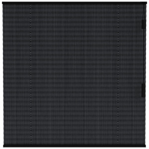 Leen Bakker - Fenstr Plisségordijn Lille Enkel 20mm Transparant - (15017) - Polyester - Zwart - 120x10x10 Cm