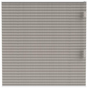 Leen Bakker - Fenstr Plisségordijn Lille Enkel 20mm Transparant - Zand (25312) - Polyester - Beige - 120x10x10 Cm