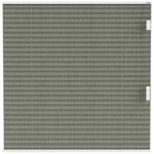 Leen Bakker - Fenstr Plisségordijn Edinburgh Enkel 20mm Transparant - (50204) - Polyester - Groen - 120x10x10 Cm