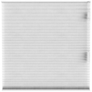 Leen Bakker - Fenstr Plisségordijn Sidney Dubbel 25mm Transparant - (10326) - Polyester - Wit - 120x10x10 Cm