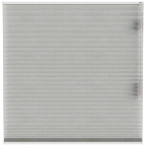 Leen Bakker - Fenstr Plisségordijn Sidney Dubbel 25mm Transparant - Linnen (25513) - Polyester - Grijs - 120x10x10 Cm