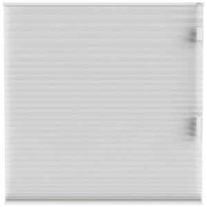 Leen Bakker - Fenstr Plisségordijn Cambridge Dubbel 25mm Transparant - (10325) - Polyester - Wit - 120x10x10 Cm