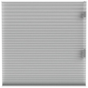 Leen Bakker - Fenstr Plisségordijn Cambridge Dubbel 25mm Transparant - Licht (20029) - Polyester - Grijs - 120x10x10 Cm