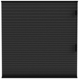 25% korting - Leen Bakker - Fenstr Plisségordijn Boston Dubbel 25mm Lichtdoorlatend - (15020) - Polyester - Zwart - 120x10x10 Cm