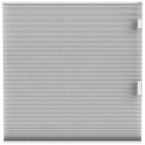 Leen Bakker - Fenstr Plisségordijn Seattle Dubbel 25mm Lichtdoorlatend - (30016) - Polyester - Taupe - 120x10x10 Cm