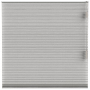 Leen Bakker - Fenstr Plisségordijn Brisbane Dubbel 25mm Lichtdoorlatend - (30017) - Polyester - Taupe - 120x10x10 Cm