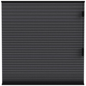 25% korting - Leen Bakker - Fenstr Plisségordijn Toronto Dubbel 25mm Lichtdoorlatend - (15021) - Polyester - Zwart - 120x10x10 Cm