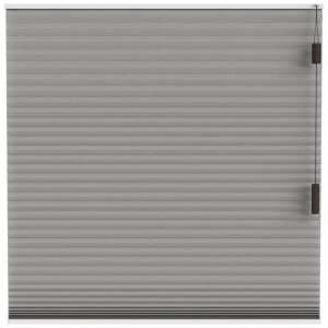 Leen Bakker - Fenstr Plisségordijn Toronto Dubbel 25mm Lichtdoorlatend - (30018) - Polyester - Taupe - 120x10x10 Cm