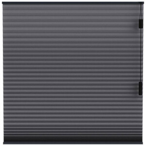 25% korting - Leen Bakker - Fenstr Plisségordijn Montreal Dubbel 25mm Lichtdoorlatend - Antraciet (20713) - Polyester - Grijs - 120x10x10 Cm