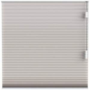 Leen Bakker - Fenstr Plisségordijn Montreal Dubbel 25mm Lichtdoorlatend - (30019) - Polyester - Taupe - 120x10x10 Cm