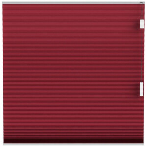 Leen Bakker - Fenstr Plisségordijn Montreal Dubbel 25mm Lichtdoorlatend - Bordeaux 65601 - Polyester - Rood - 120x10x10 Cm