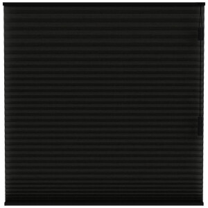 Leen Bakker - Fenstr Plisségordijn Chicago Dubbel 25mm Verduisterend - (15023) - Polyester - Zwart - 120x10x10 Cm