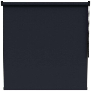 Leen Bakker - Rolgordijn Lichtdoorlatend - (15002) - Polyester - Zwart - 10x10x120 Cm