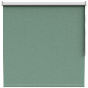 Leen Bakker - Fenstr Rolgordijn Stockholm Verduisterend - (50202) - Polyester - Groen - 120x10x10 Cm