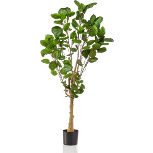 Emerald - Kunstboom Polyscias 150cm - Kunstplant voor binnen