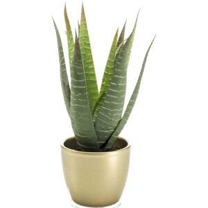 Emerald Kunstplant Aloe Vera - groen - in gouden pot - 23 cm