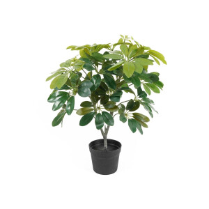 Kunstplant Shefflera | Present Time