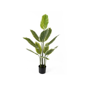 Kunstplant Calathea | Present Time