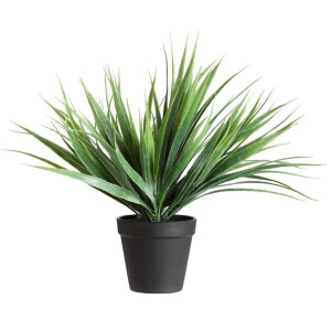 Leen Bakker - Siergras In Pot - 30 Cm - Kunststof - Groen