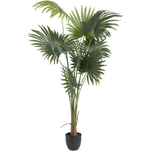 Leen Bakker - Kunstplant Waaierpalm - In-pot - /zwart - 180 Cm - Polyester - Groen