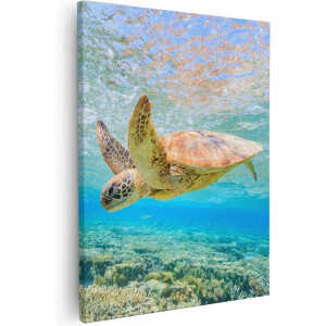 Artaza - Canvas Schilderij - Schildpad Zwemt in de Zee bij het Rif - 40x50 - Foto Op Canvas - Canvas Print