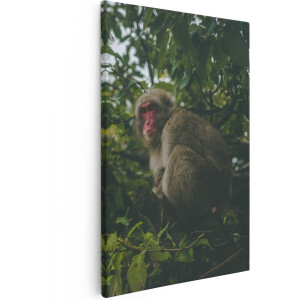Artaza Canvas Schilderij Aap In De Boom Tussen De Bladeren - 20x30 - Klein - Foto Op Canvas - Canvas Print