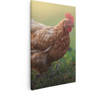 Artaza Canvas Schilderij Kip in het Gras - 40x60 - Poster Foto op Canvas - Canvas Print