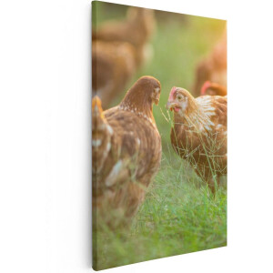 Artaza Canvas Schilderij Kippen op het Gras  - 20x30 - Klein - Foto Op Canvas - Canvas Print