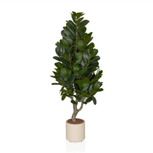 Garcinia - Kunstplant Groen