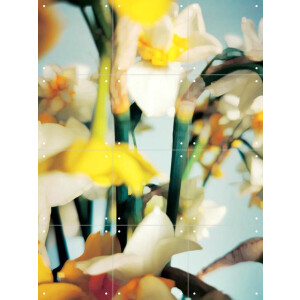 IXXI Primavera, Angelo Cerantola - 60 x 80 cm - Gratis ophangtool - Grote wanddecoratie en posters - Fotografie, Abstract, Impressionisme, Slaapkamer