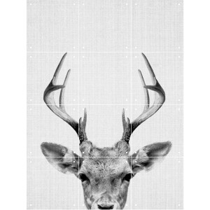 IXXI Print 38 Deer, Lila + Lola - 60 x 80 cm - Gratis ophangtool - Grote wanddecoratie en posters - Fotografie, Minimalistisch, Woonkamer, Slaapkamer