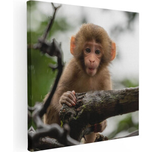 Artaza Canvas Schilderij Klein Baby Aapje Op Een Tak - 90x90 - Groot - Foto Op Canvas - Canvas Print