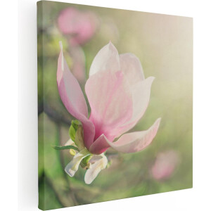 Artaza Canvas Schilderij Roze Magnolia Bloem  - 60x60 - Foto Op Canvas - Canvas Print