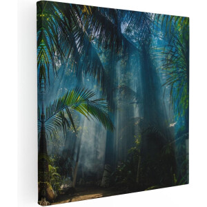 Artaza Canvas Schilderij Dichtbegroeide Jungle Met Zonnestralen  - 40x40 - Klein - Foto Op Canvas - Canvas Print