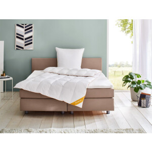 Balette Donzen dekbed Gold-Edition medium (200 x 200 cm)