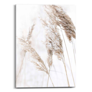 Canvas Scandic Breeze | Orangewallz
