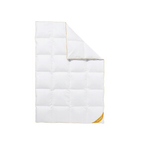 Balette deLuxe ganzendons cassette dekbed Gold Edition extra warm (200 x 220 cm)