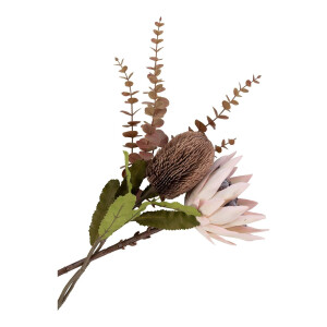 Kunst Koningsprotea Boeket Protea | House Nordic