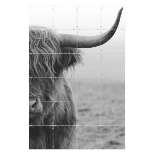 Fototegels Cow Horn kunststof | Orangewallz